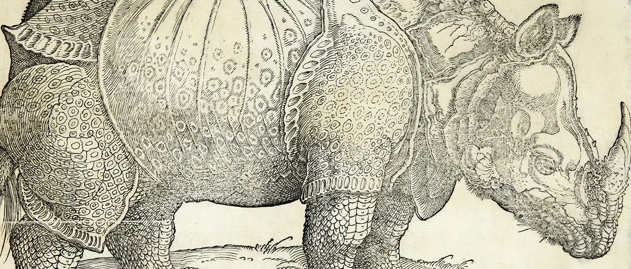 Прекрасные чудовища